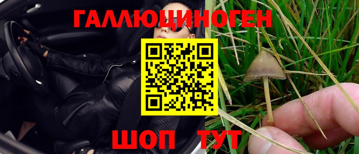 Галлюциногенные грибы мухоморы  где купить   Тайшет  Вход с VPN 