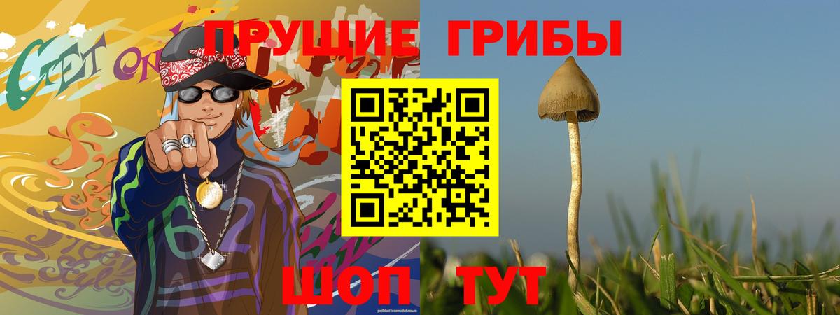 Псилоцибиновые грибы прущие грибы Тайшет